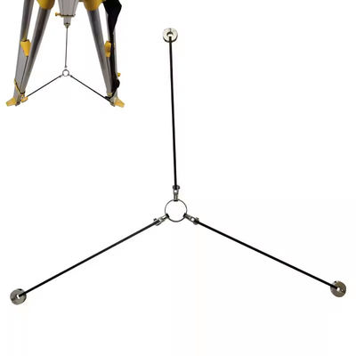 tên